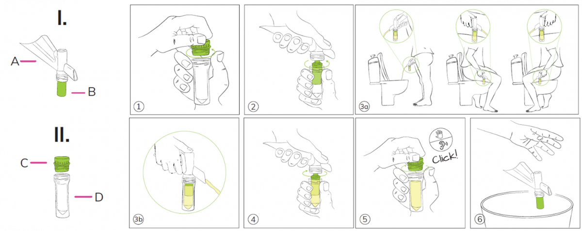 how does colli-pee works diagram