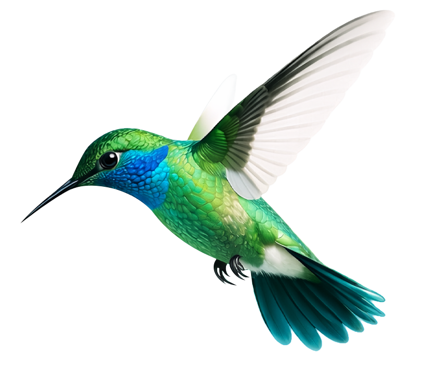 Hummingbird