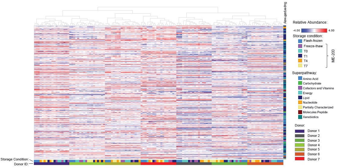 Figure 5: HCA. Principal component analysis of metabolomic data
                                